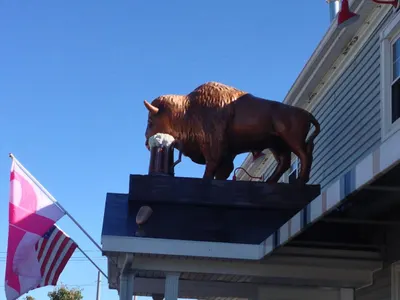 Buffalo 2013 Trip Photo 57